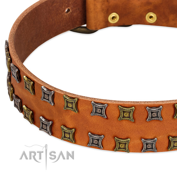 Gentle to touch full grain leather dog collar for your stylish dog
