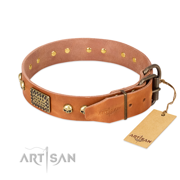 Rust-proof buckle on stylish walking dog collar