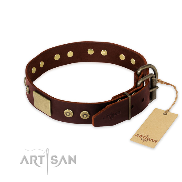 Rust-proof D-ring on daily use dog collar