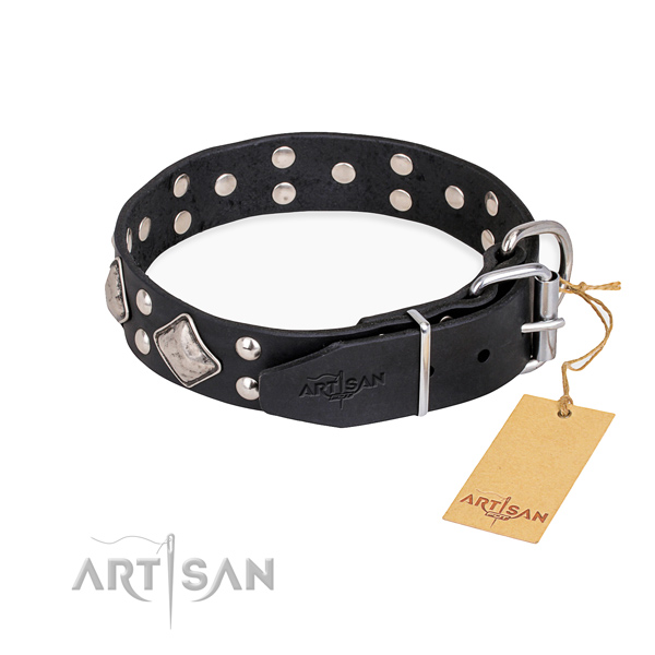 Leather dog collar with trendy durable studs