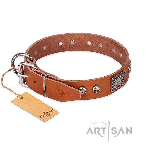 Strong fittings on easy wearing dog collar