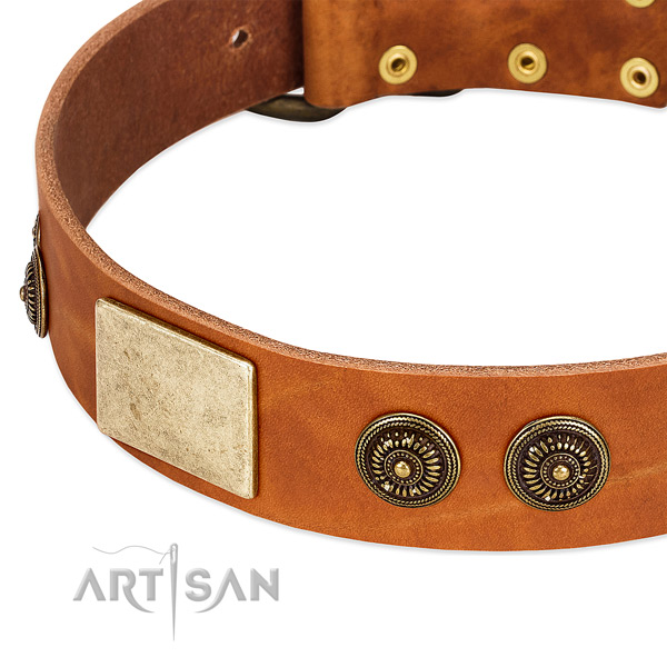 Extraordinary dog collar crafted for your handsome pet