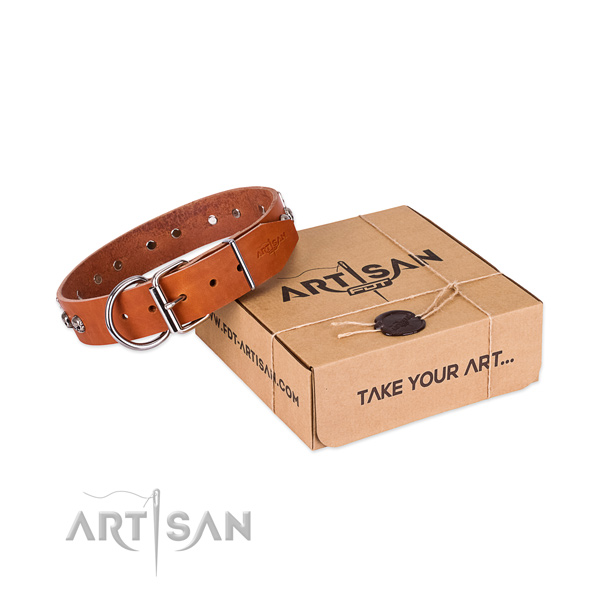 Rust-proof traditional buckle on dog collar for walking