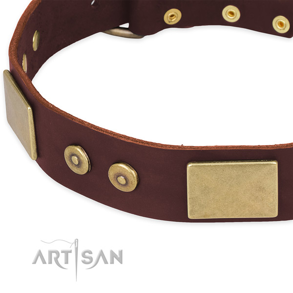 Full grain natural leather dog collar with adornments for everyday use