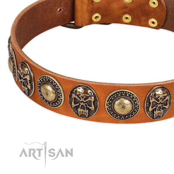 Durable decorations on natural leather dog collar for your four-legged friend