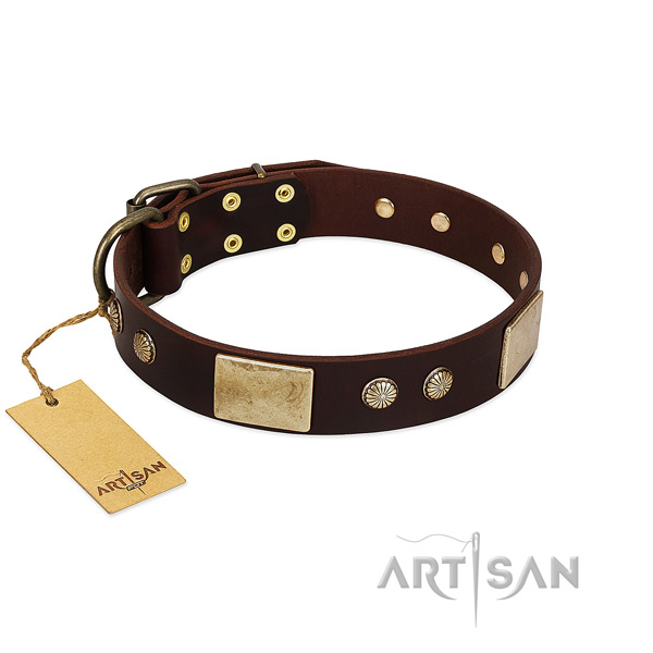 Adjustable leather dog collar for walking your dog