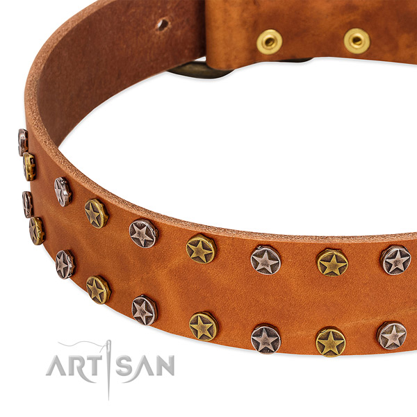 Handy use leather dog collar with trendy studs