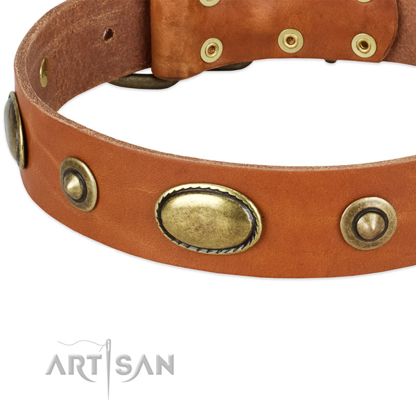 Durable adornments on full grain natural leather dog collar for your four-legged friend