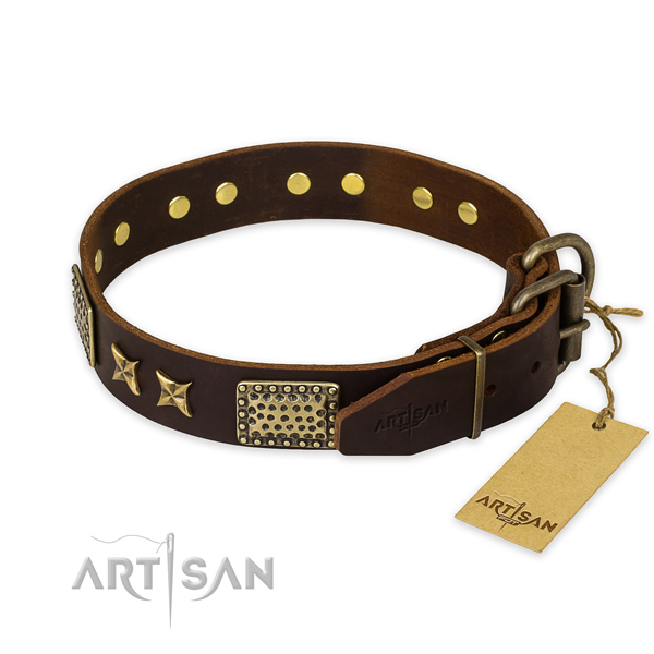 Corrosion proof traditional buckle on leather collar for your beautiful doggie