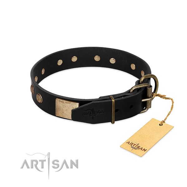 Reliable studs on daily walking dog collar