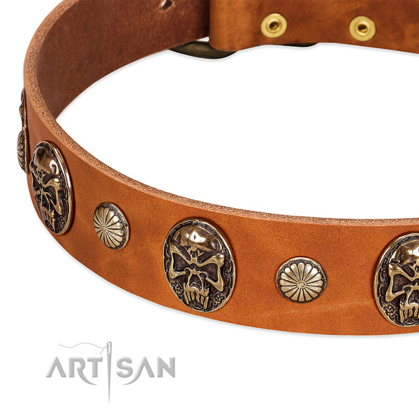 Strong studs on full grain leather dog collar for your pet