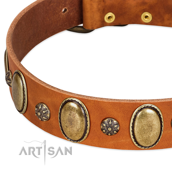 Everyday use reliable leather dog collar
