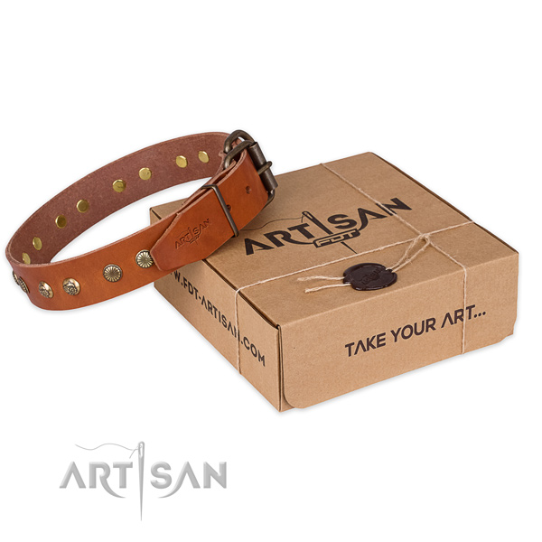 Rust-proof buckle on leather collar for your attractive dog