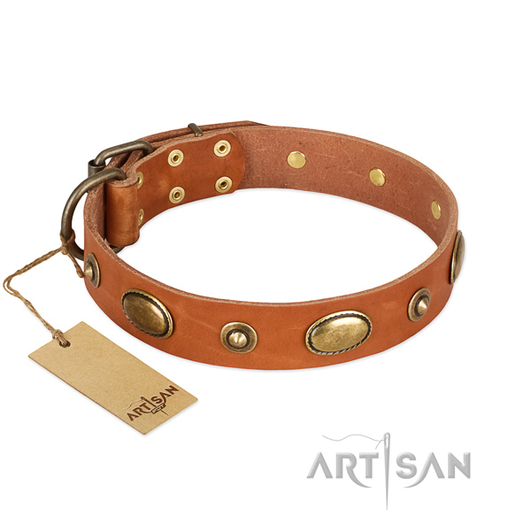Extraordinary full grain natural leather collar for your dog