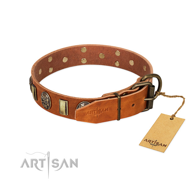 Full grain natural leather dog collar with corrosion proof fittings and embellishments