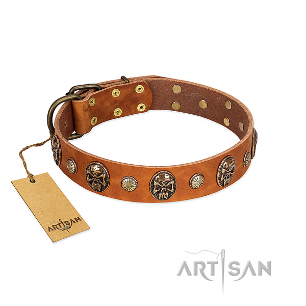 Adjustable genuine leather dog collar for everyday use