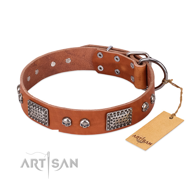 Easy adjustable leather dog collar for everyday walking your canine