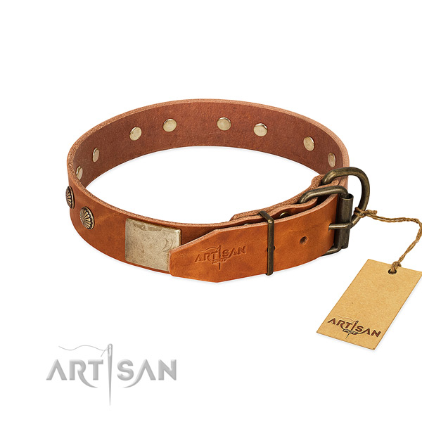 Durable embellishments on daily use dog collar