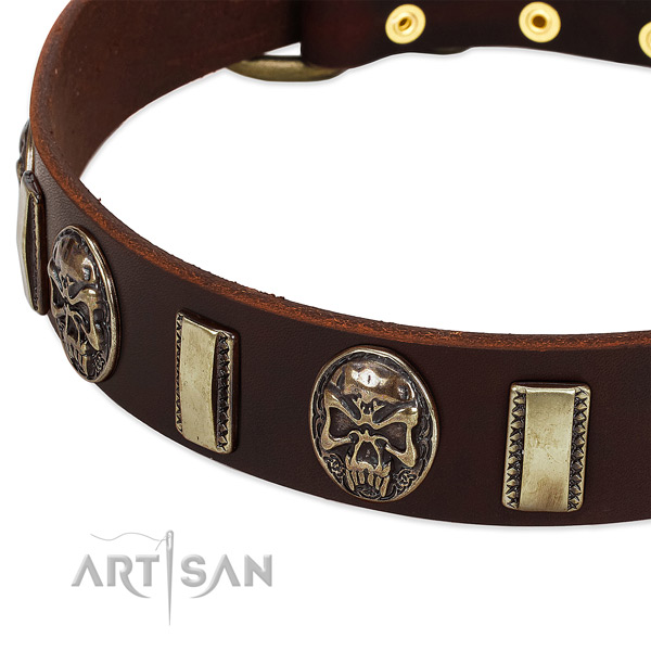 Strong buckle on genuine leather dog collar for your canine