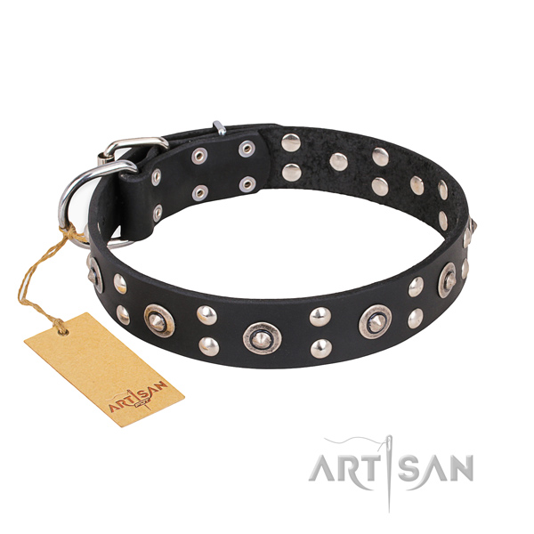 Handy use extraordinary dog collar with corrosion resistant fittings