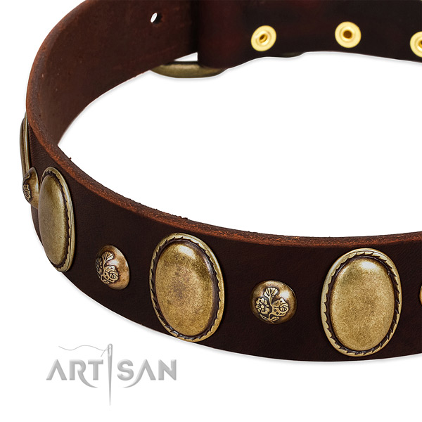 Full grain natural leather dog collar with top notch decorations