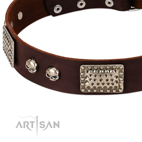 Corrosion resistant decorations on leather dog collar for your canine