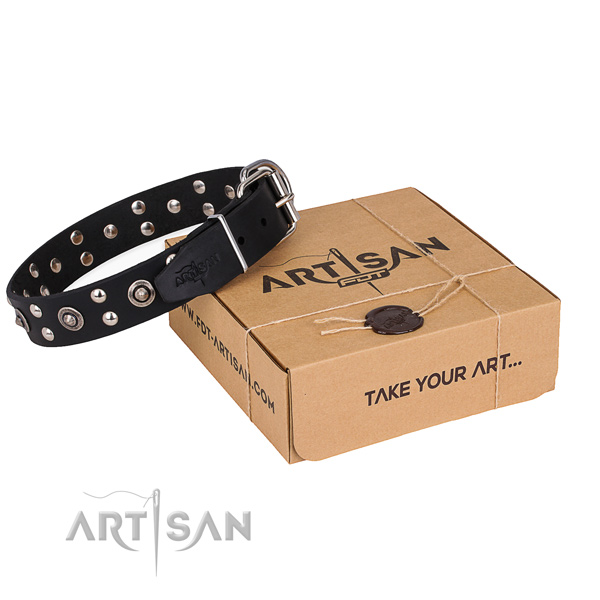 Everyday walking dog collar with Exquisite corrosion proof embellishments