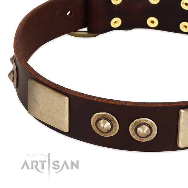 Durable buckle on genuine leather dog collar for your canine