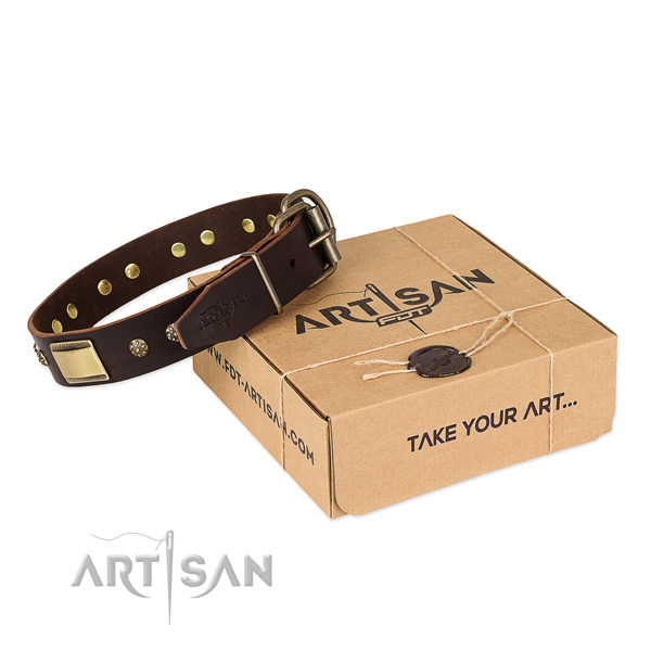 Fine quality full grain leather collar for your impressive four-legged friend