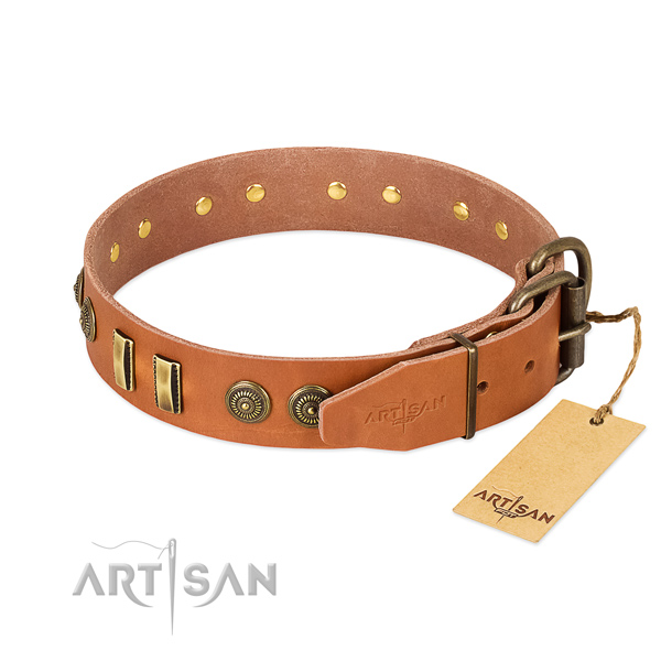 Rust-proof decorations on full grain genuine leather dog collar for your canine