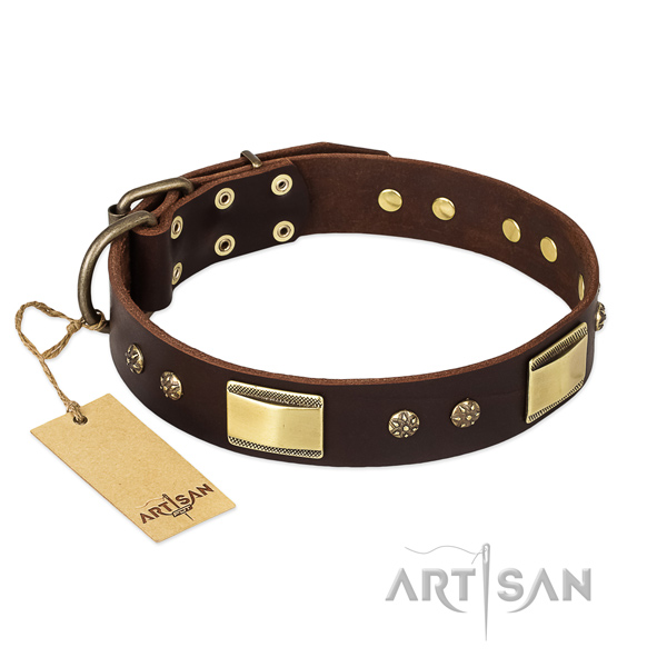 Full grain natural leather dog collar with durable buckle and studs
