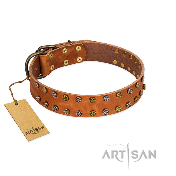 Everyday use gentle to touch leather dog collar with decorations