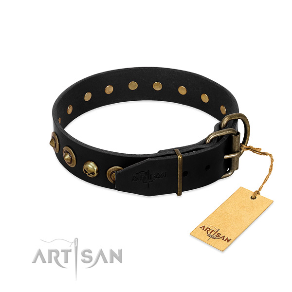 Leather collar with incredible studs for your doggie