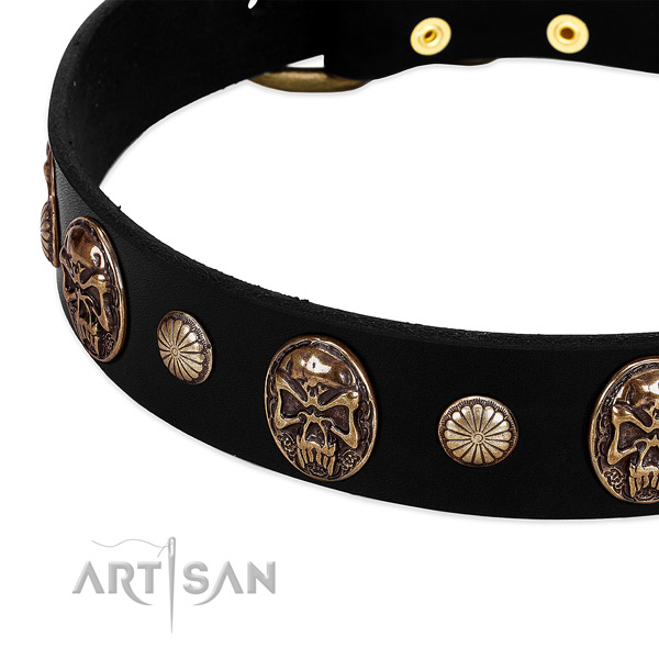 Leather dog collar with amazing studs