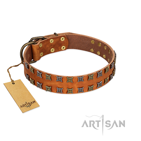 Soft natural leather dog collar with embellishments for your canine