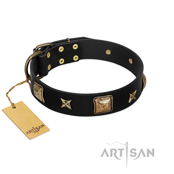 Natural leather dog collar of best quality material with stylish design studs