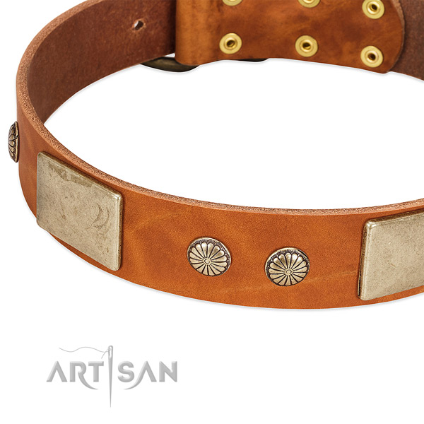 Corrosion resistant decorations on natural genuine leather dog collar for your canine