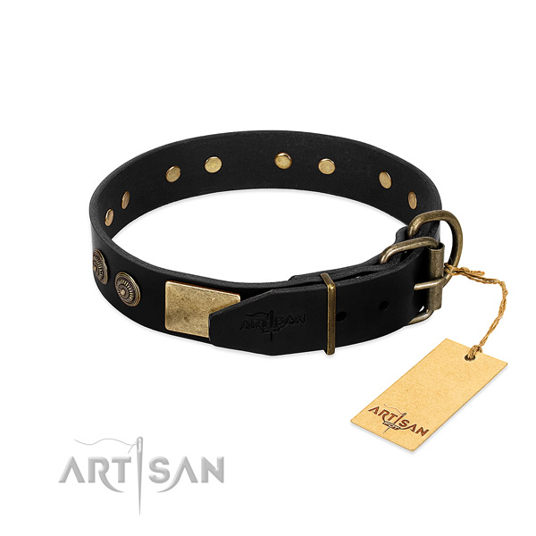 Durable adornments on full grain leather dog collar for your canine