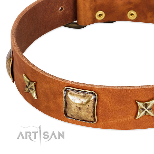 Corrosion proof D-ring on natural genuine leather dog collar for your canine