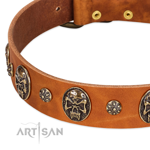 Corrosion proof adornments on full grain genuine leather dog collar for your doggie