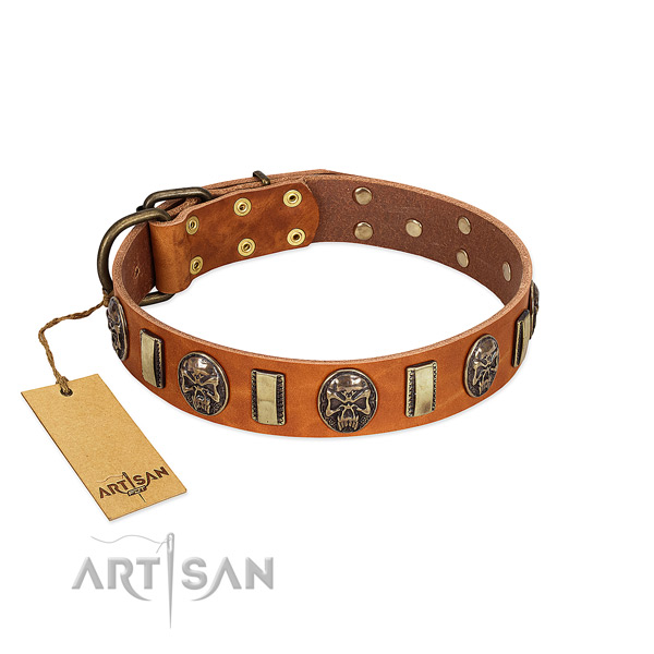 Handcrafted full grain leather dog collar for daily walking