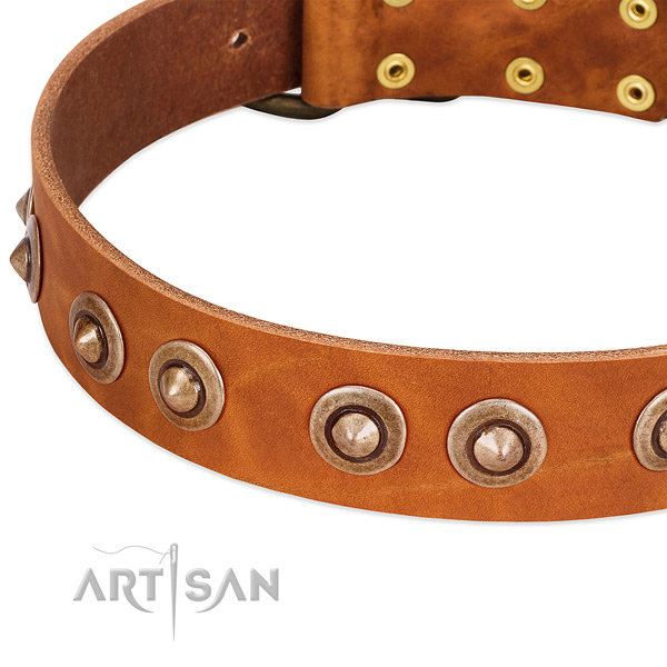 Rust resistant buckle on full grain leather dog collar for your dog