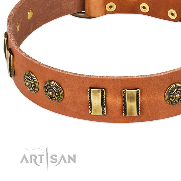 Rust-proof decorations on full grain natural leather dog collar for your canine