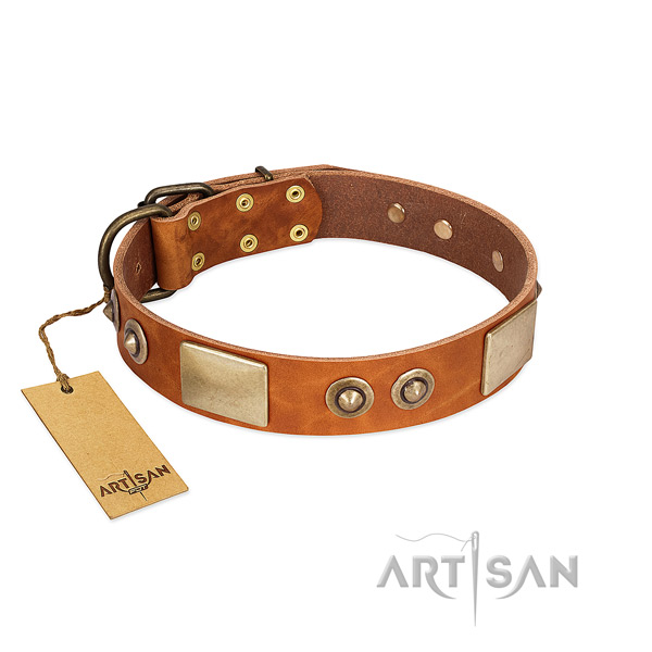 Easy wearing leather dog collar for stylish walking your dog