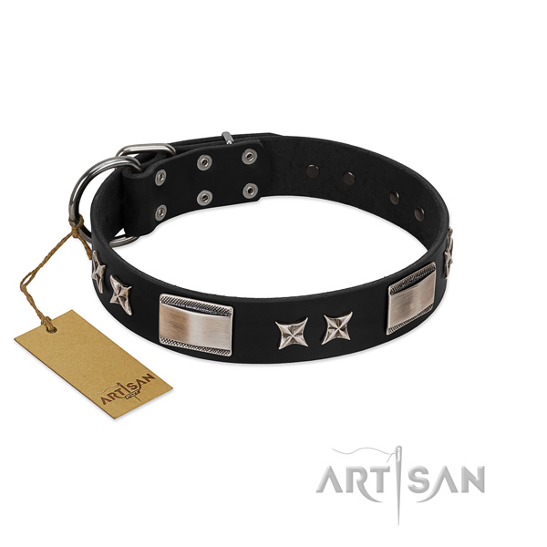 Embellished dog collar of natural leather