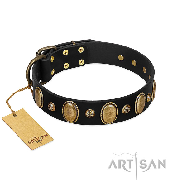 Natural leather dog collar of flexible material with stylish design studs