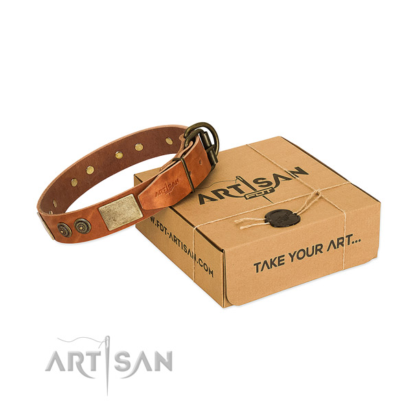 Corrosion proof buckle on full grain natural leather dog collar for fancy walking