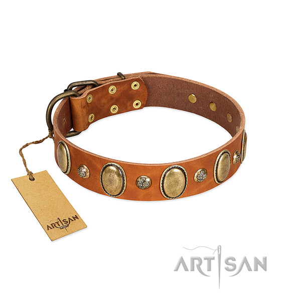 Full grain natural leather dog collar of top notch material with inimitable embellishments