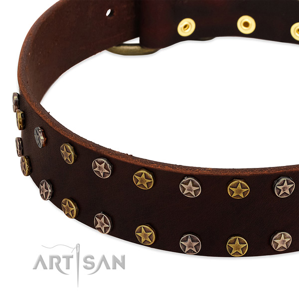 Comfortable wearing full grain natural leather dog collar with awesome adornments