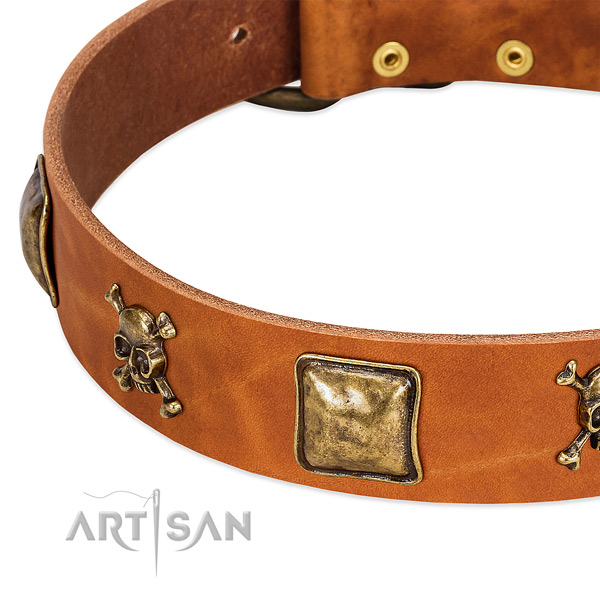 Fashionable decorations on full grain natural leather collar for your canine